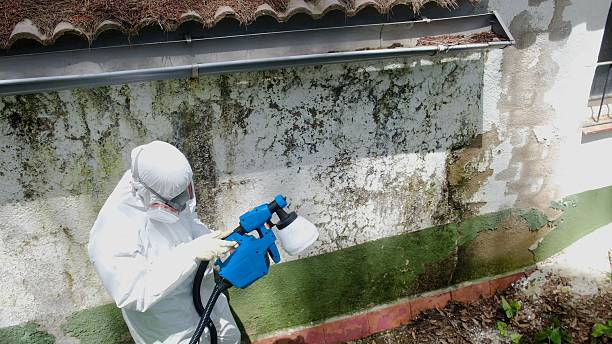 Trusted Mold Testing service in Snohomish, WA - Cheap Mold Removal